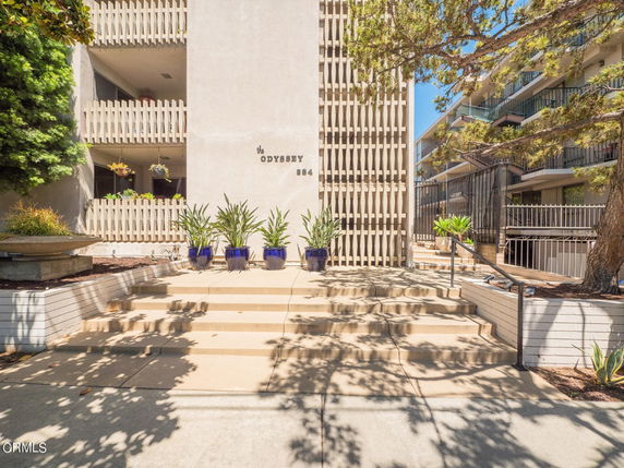 Front view of a multi-story building entrance with steps and decorative plants.