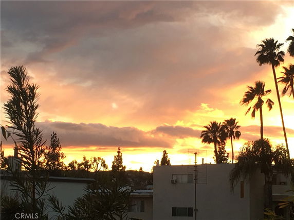 Sunset view with palm trees and rooftops in the foreground.