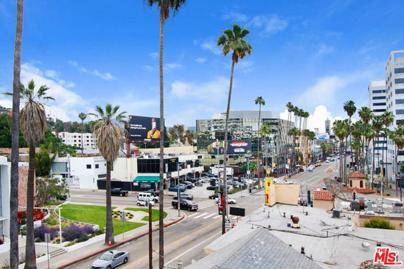 Panoramic view of a city street lined with palm trees and buildings.