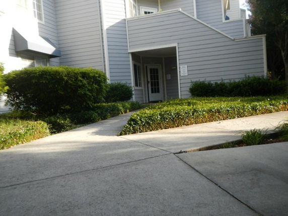 Front view of a house with a covered entrance and surrounding greenery.