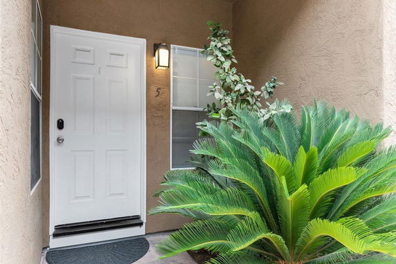 Front view of a house entrance with a white door and a small window, along with green plants nearby.