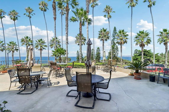 Outdoor patio with tables and chairs overlooking the ocean and palm trees.