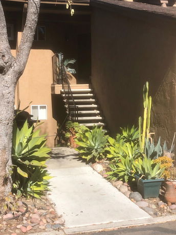 Front view of a building with an external staircase leading to the entrance, surrounded by various plants.