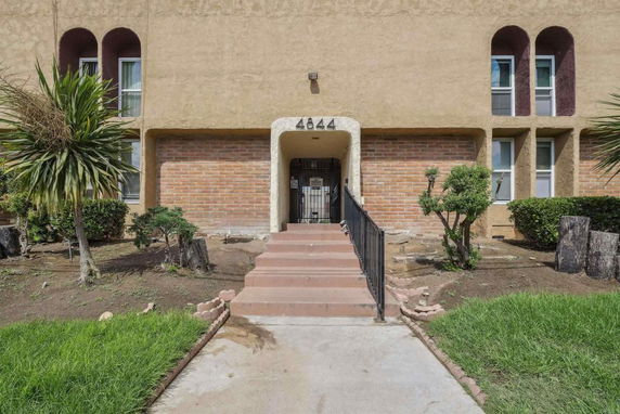 Front view of a building entrance with steps leading up to a door, surrounded by a garden.