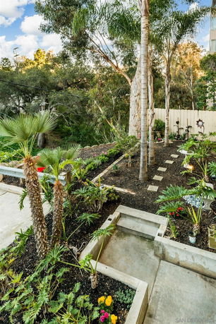 View of a landscaped garden with various plants and trees.