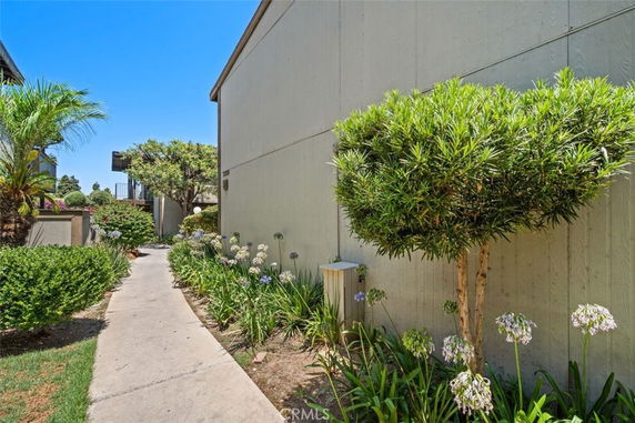 Pathway beside a building with plants and trees along the side.