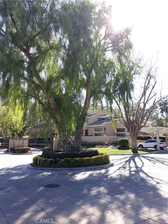 Front view of a house with large trees and a driveway.
