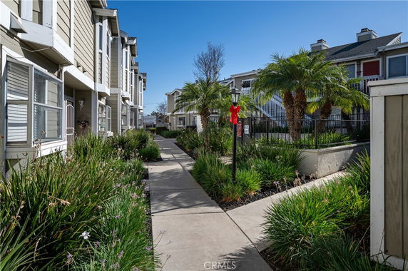 Front view of a row of multi-story townhouses with landscaped pathways.