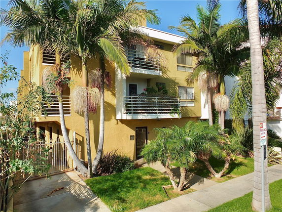 Front view of a multi-story building with balconies and surrounding palm trees.