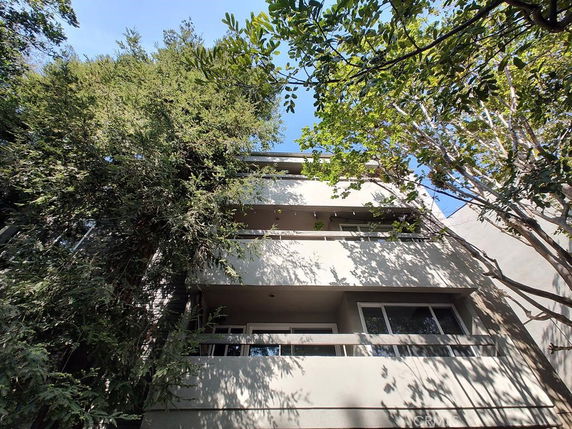 Front view of a multi-story building partially covered by trees.