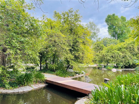 A wooden bridge over a pond surrounded by lush green trees.