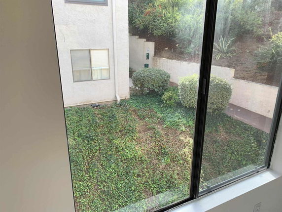 View of a backyard area from the window, showing greenery and part of a building's exterior wall.