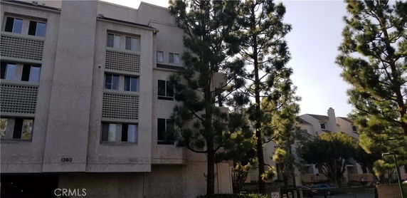 Front view of a multi-story building with several windows and trees in the foreground.