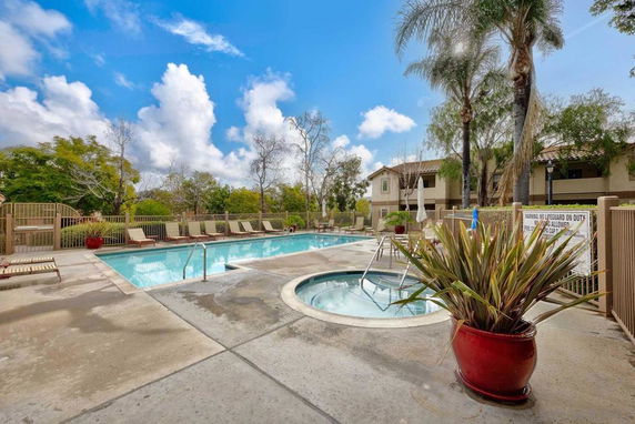 Outdoor swimming pool area with sun loungers and surrounding trees.