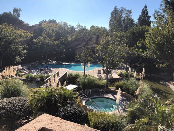 Outdoor view featuring a swimming pool surrounded by trees and vegetation.