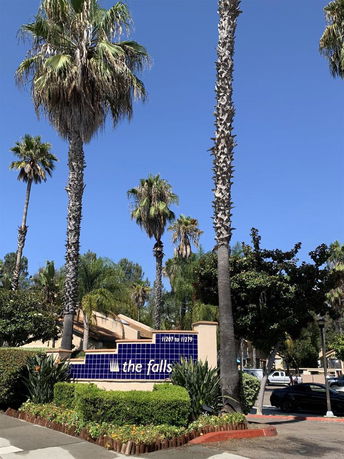 Front view of a building with a sign reading 'the falls' and tall palm trees.
