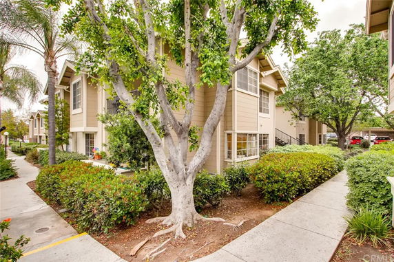Exterior view of an apartment complex with landscaped pathways and large trees.