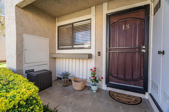 Front view of a house entrance with a door, window, and decorative plants.