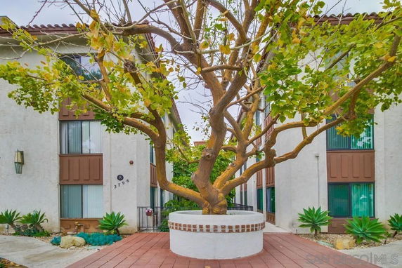 Front view of a multi-story building with a central courtyard and a large tree.