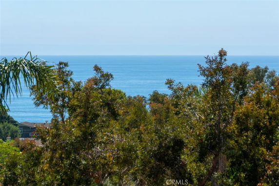 Panoramic view of the ocean with surrounding trees.