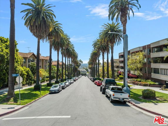 Street view with palm trees and parked cars.