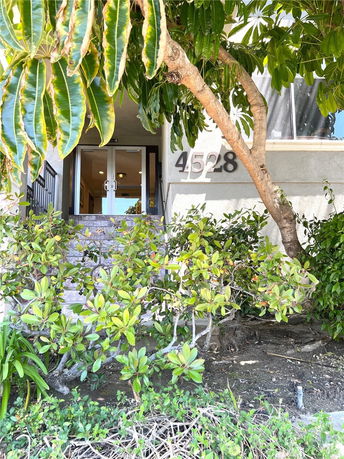 Front view of a building entrance with stairs and surrounding greenery.