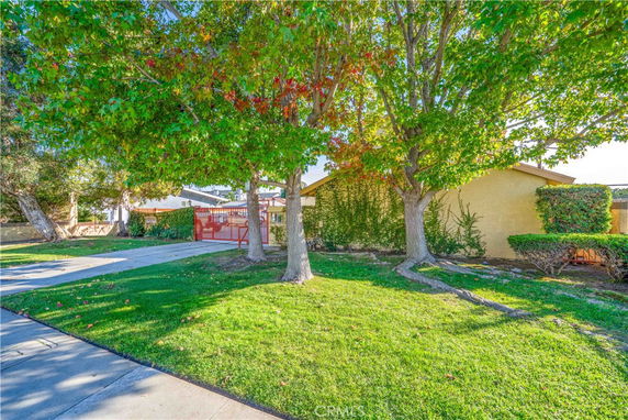 Front view of a single-story house partially obscured by trees.