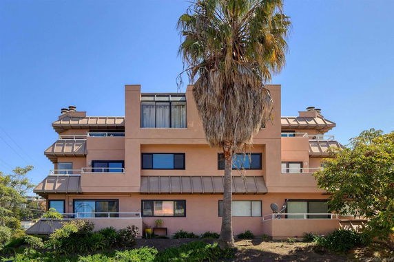 Front view of a multi-story building with balconies and a large palm tree in front.