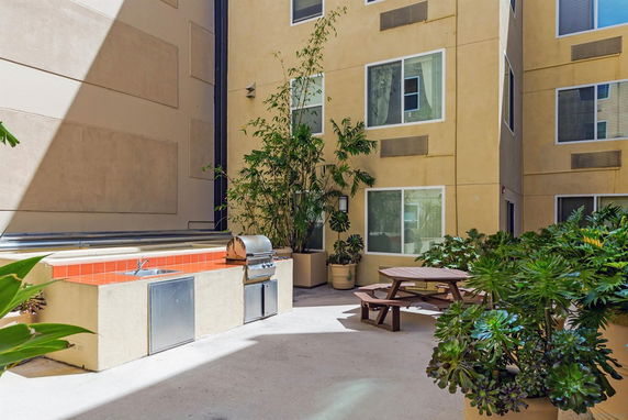 Outdoor area with a barbecue grill, picnic table, and potted plants.