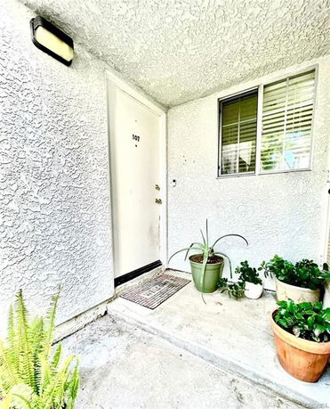 Front view of a building entrance with a door numbered 107 and several potted plants.