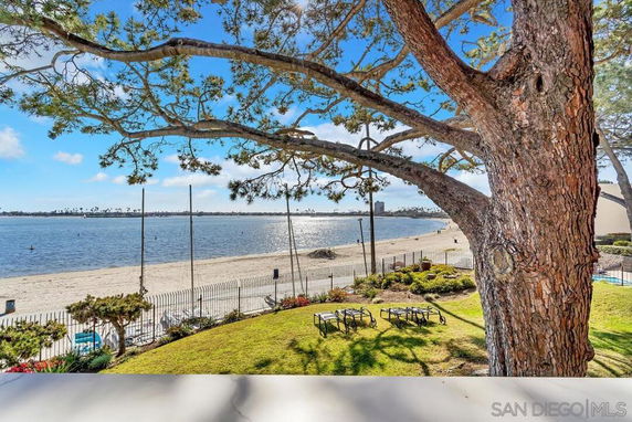 View of a beach and ocean with a tree in the foreground and a fenced area nearby.