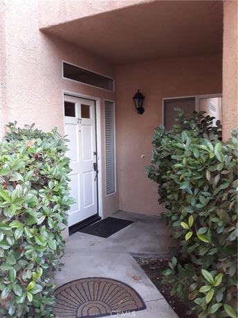 Front view of a house entrance with a white door and plants on either side.