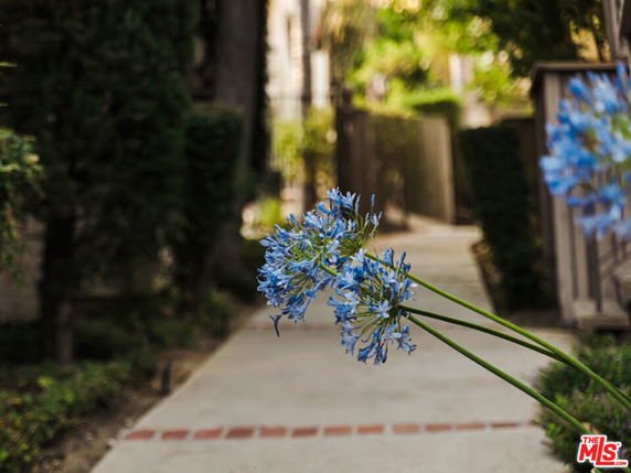 A pathway with blue flowers in the foreground leading towards a building.