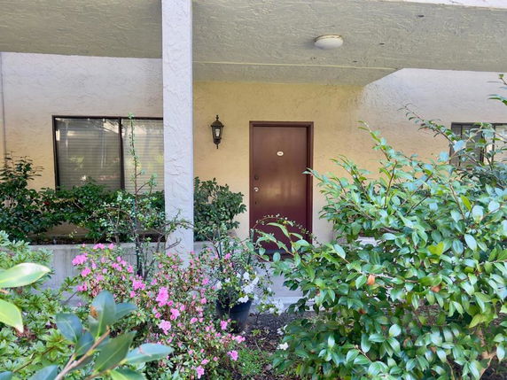 Front view of a building entrance with plants and a brown door.