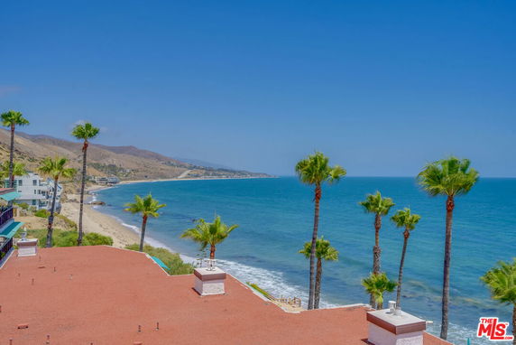 Wide angle view of a coastal landscape with palm trees and ocean.