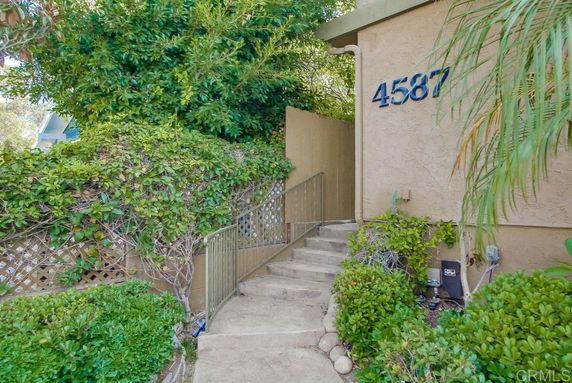 Entrance area of a building with steps leading up to a door, surrounded by greenery.