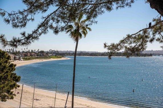 View of a coastal area with a sandy beach and ocean in the background, bordered by trees and greenery.