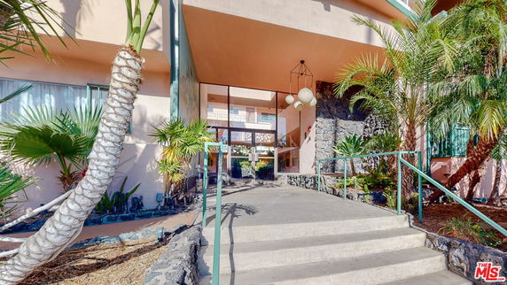 Front view of a building entrance with steps and palm trees