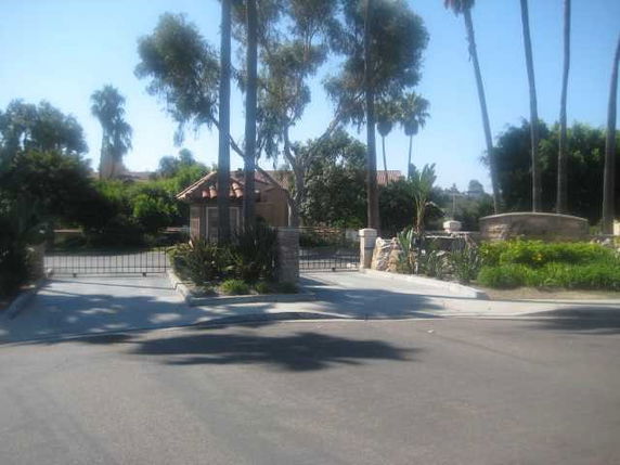 Front view of a gated entrance with surrounding trees.