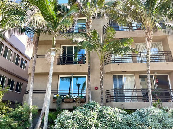 Front view of a multi-story building with balconies and palm trees