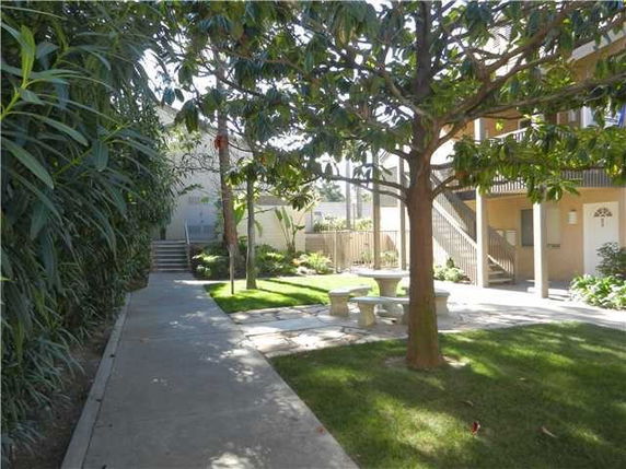 Outdoor area with a tree and a paved walkway beside a multi-story building.