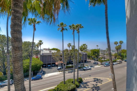 Street view with a building in the background and palm trees lining the scene.