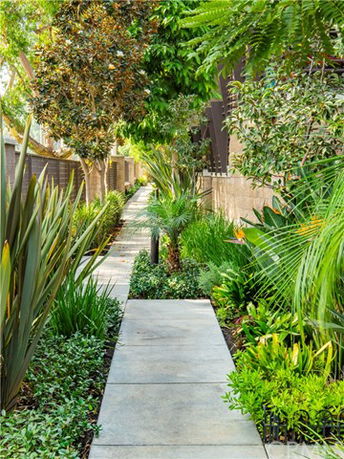 Pathway with lush greenery alongside a building.