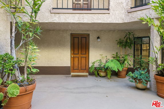 Front view of a building entrance with a wooden door and potted plants.