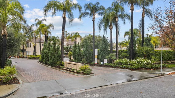 Entrance view of residential area with palm trees and a paved driveway.