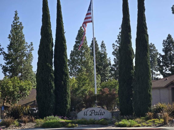 Front view of a building entrance with tall trees and a flagpole.