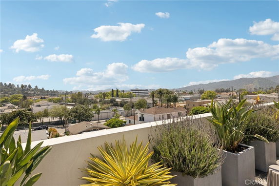 Panoramic view of surrounding residential area with distant hills, seen from a rooftop with potted plants.