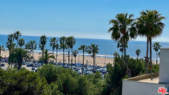 Panoramic view of a beach with palm trees and ocean.