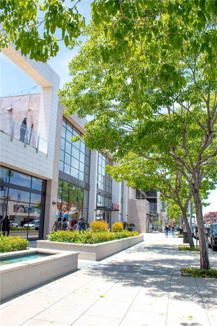 Front view of a modern commercial building with large windows and trees on the sidewalk.