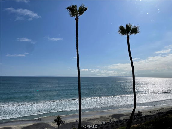 Panoramic view of a beach with tall palm trees and the ocean under a blue sky.